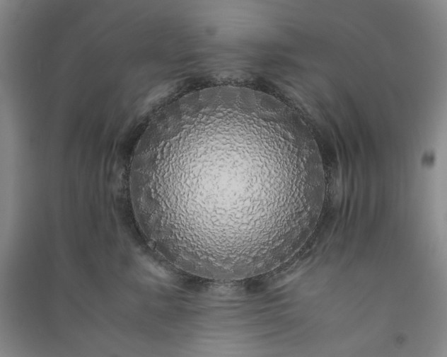 X0000091100619200708201522