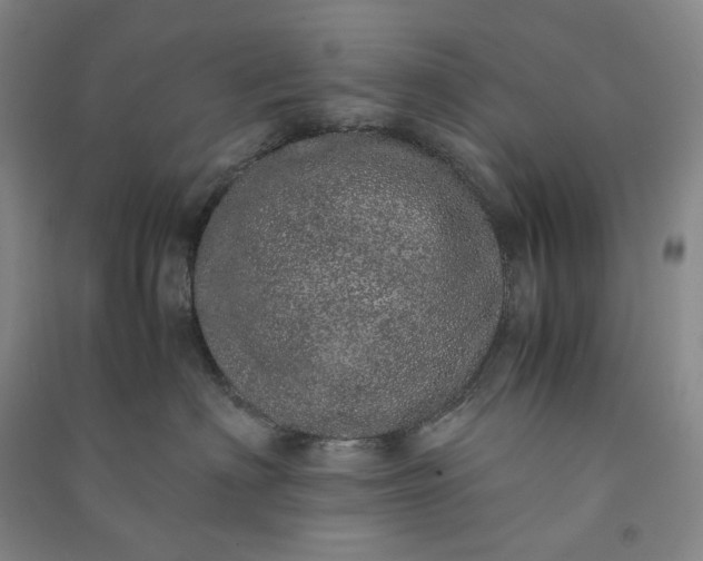 X0000091100622200708201522