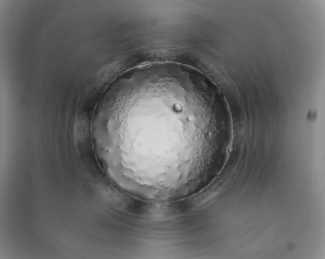 X0000091100623200708201522