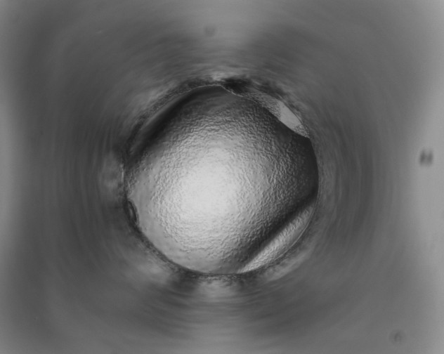 X0000091100624200708201522