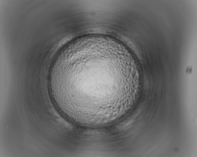 X0000091100625200708201521