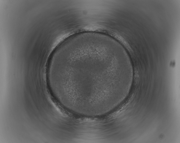 X0000091100626200708201521