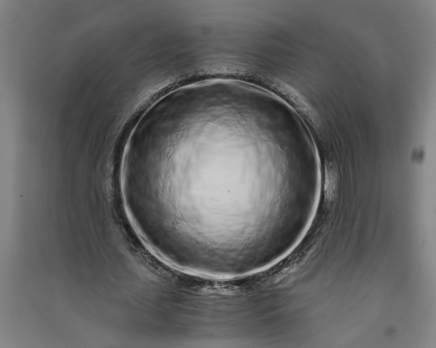 X0000091100627200708201521