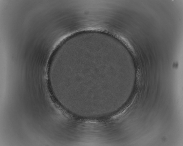 X0000091100628200708201521