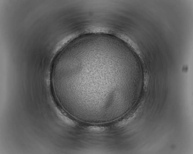 X0000091100629200708201521