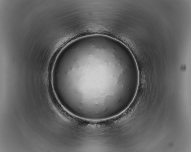 X0000091100630200708201521