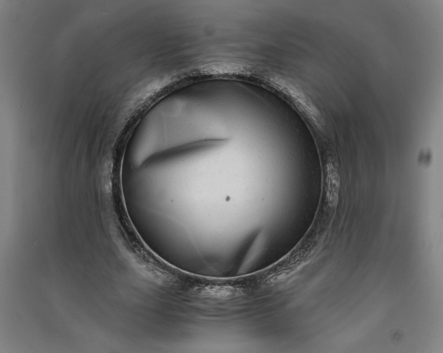 X0000091100631200708201521