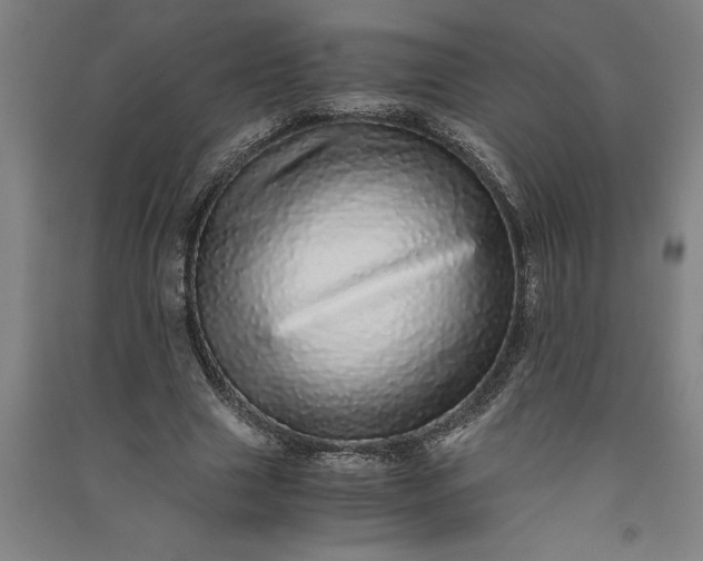 X0000091100633200708201521