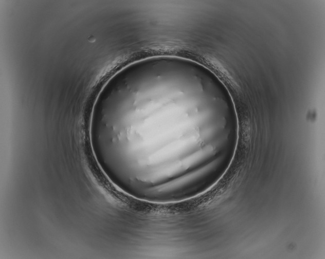 X0000091100634200708201521