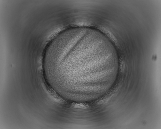 X0000091100635200708201521