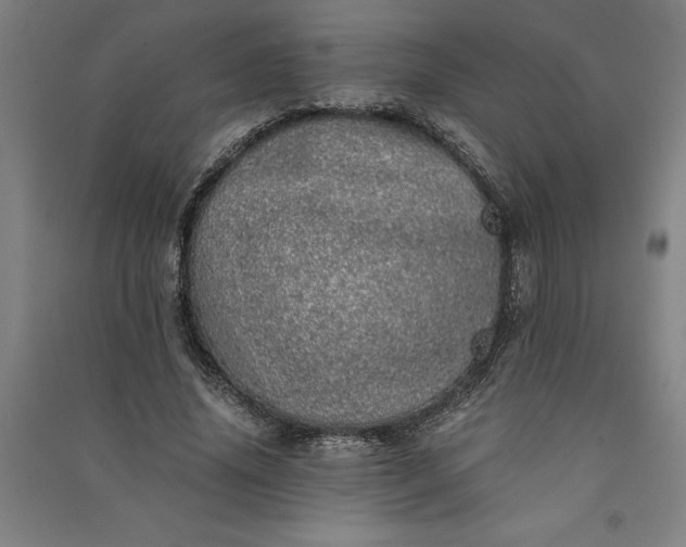 X0000091100636200708201521