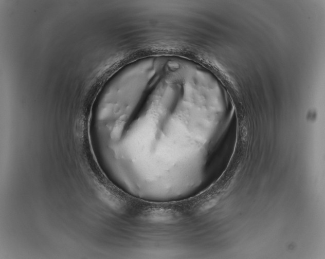 X0000091100637200708201521