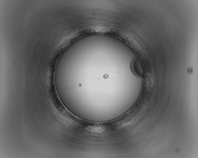 X0000091100639200708201521