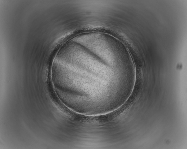 X0000091100640200708201521