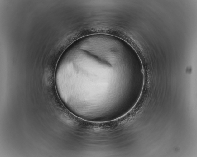 X0000091100641200708201521