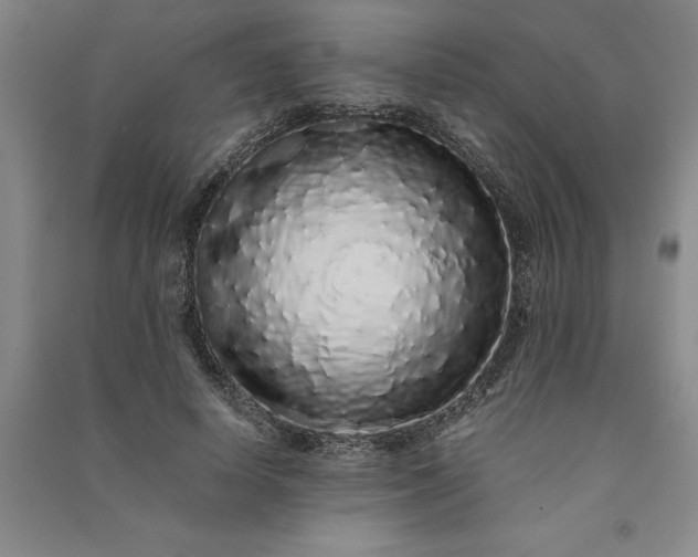 X0000091100642200708201521