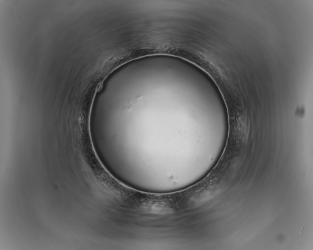 X0000091100643200708201521