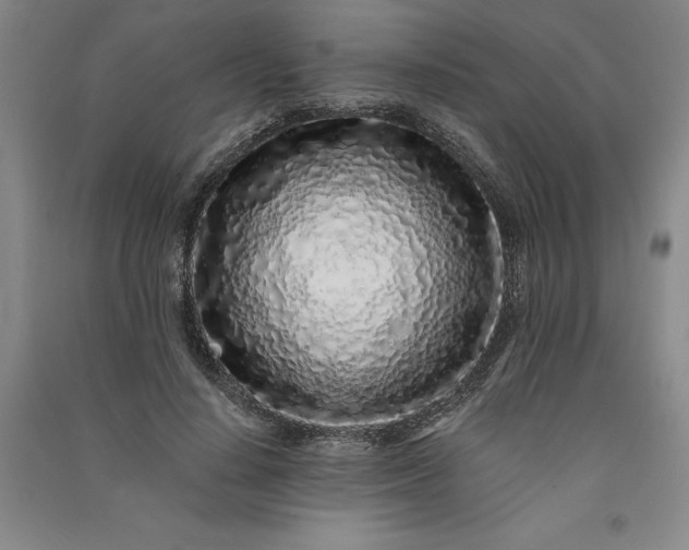 X0000091100644200708201521