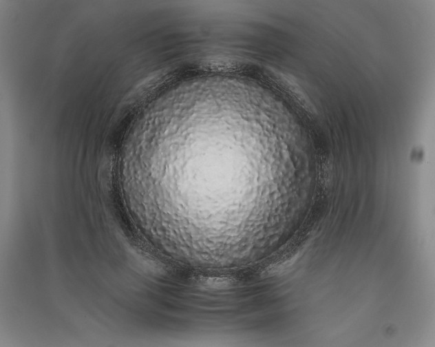 X0000091100645200708201521