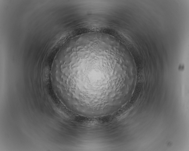 X0000091100646200708201521