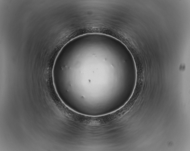 X0000091100647200708201521