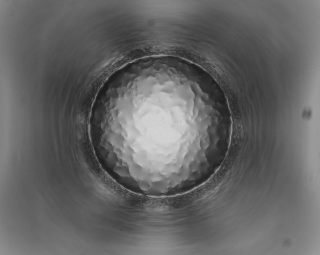 X0000091100648200708201521