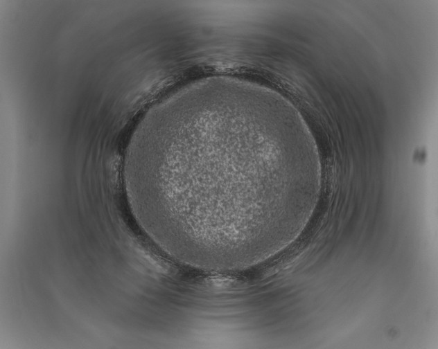 X0000091100650200708201521