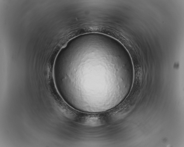 X0000091100651200708201521