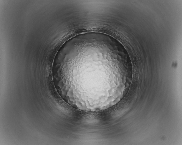 X0000091100652200708201521