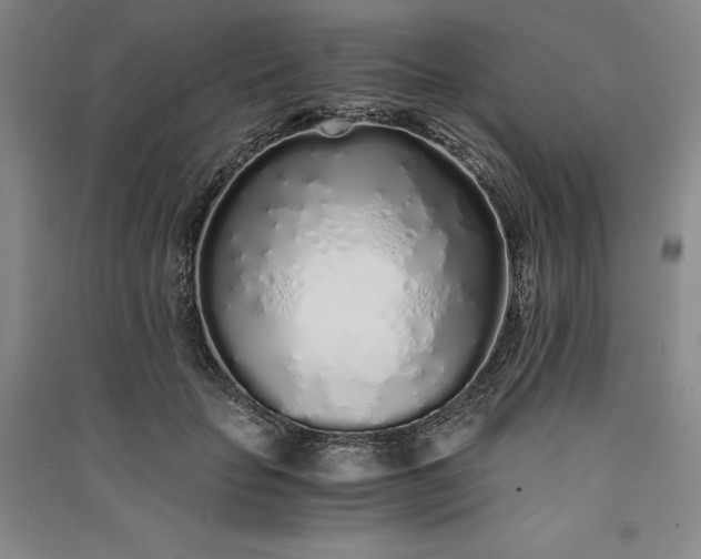 X0000091100653200708201521