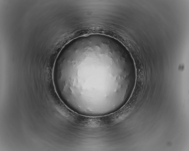 X0000091100654200708201521