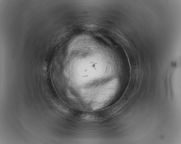 X0000091100655200708201521