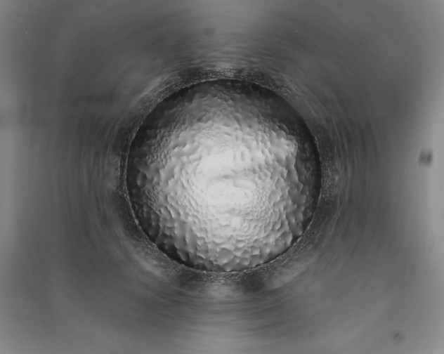 X0000091100656200708201521