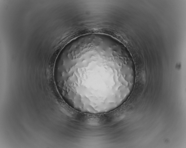 X0000091100658200708201521