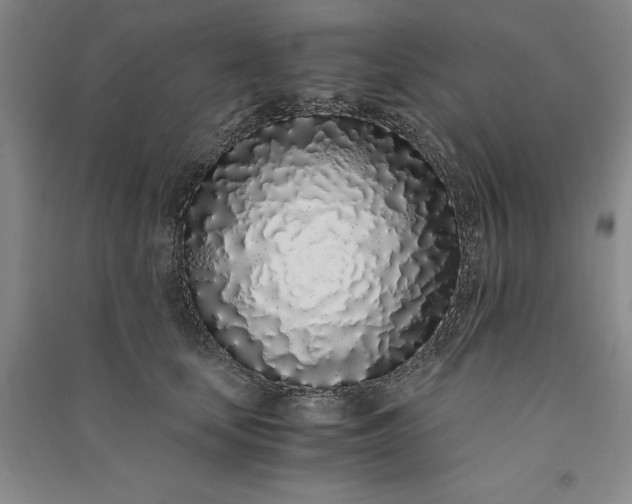 X0000091100659200708201521