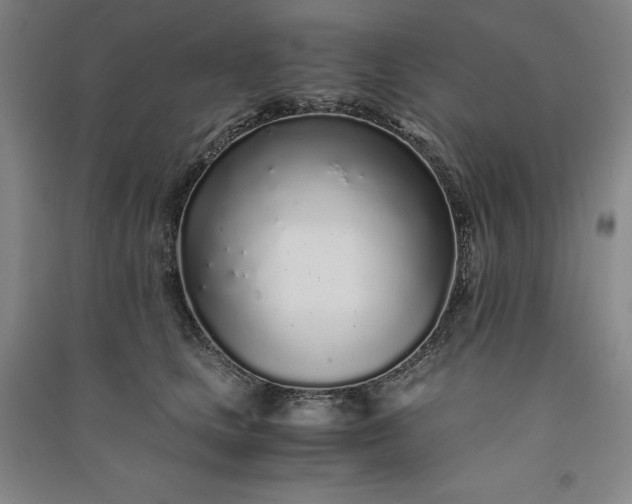 X0000091100661200708201521