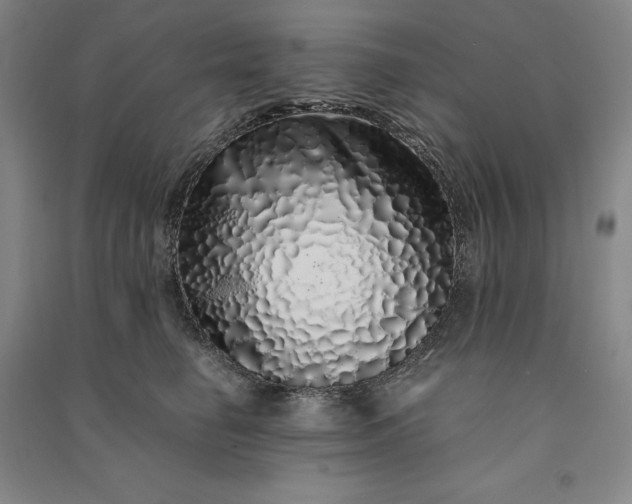 X0000091100662200708201522