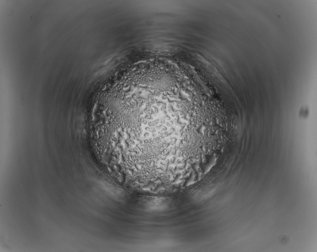 X0000091100663200708201522