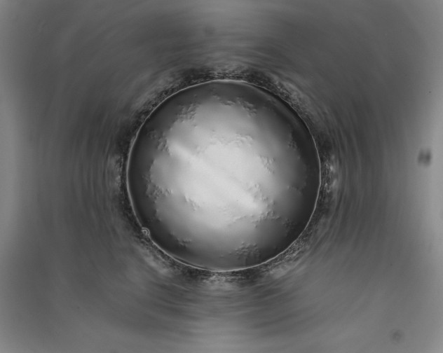 X0000091100664200708201522