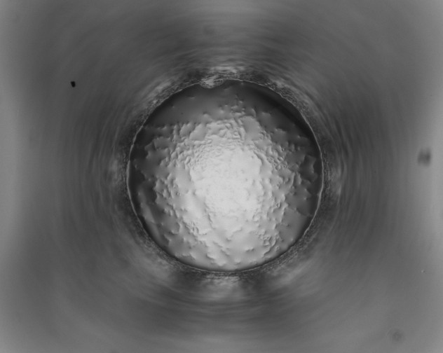 X0000091100665200708201522