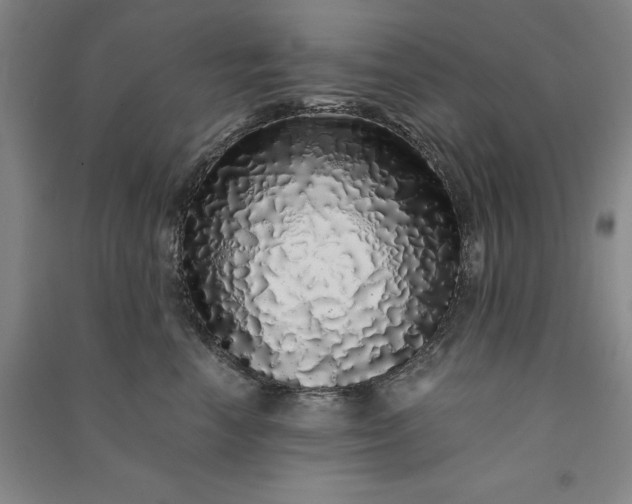 X0000091100666200708201522