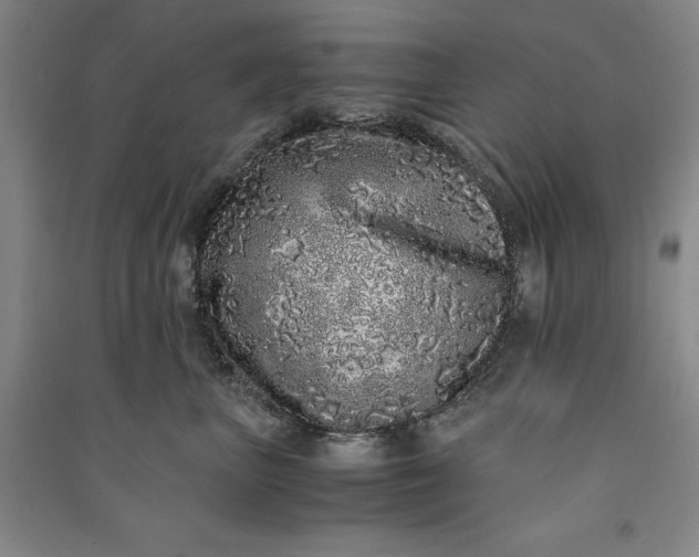 X0000091100667200708201522