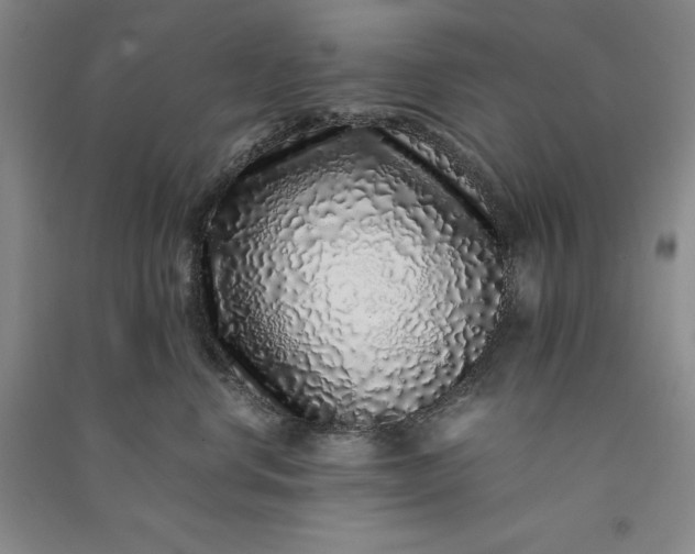 X0000091100668200708201522