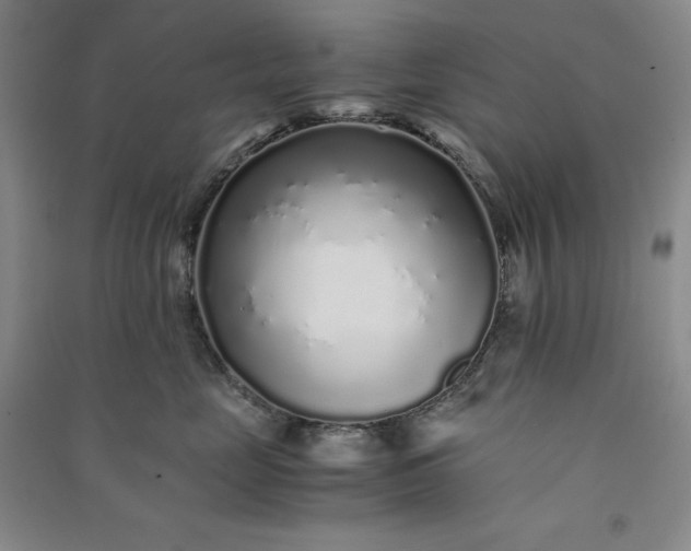 X0000091100669200708201522