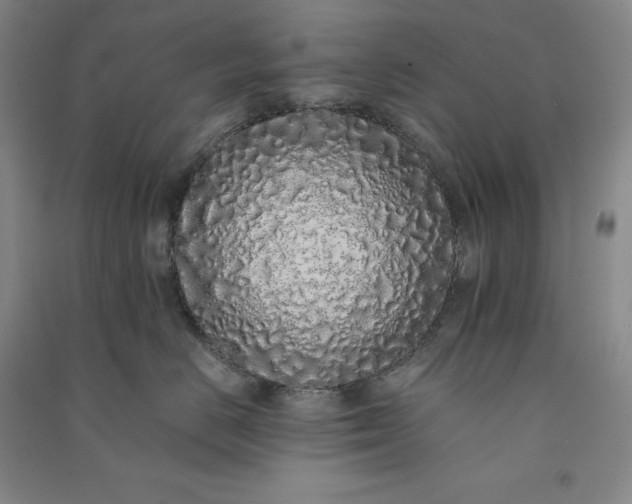 X0000091100670200708201522