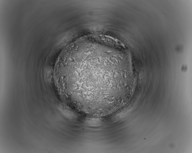 X0000091100671200708201522