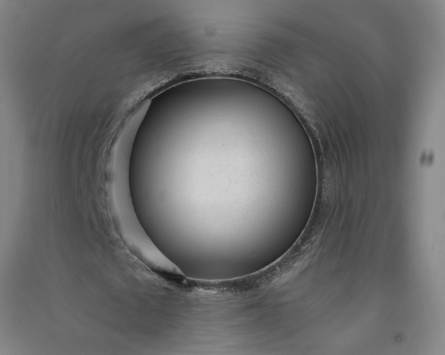 X0000091100673200708201521