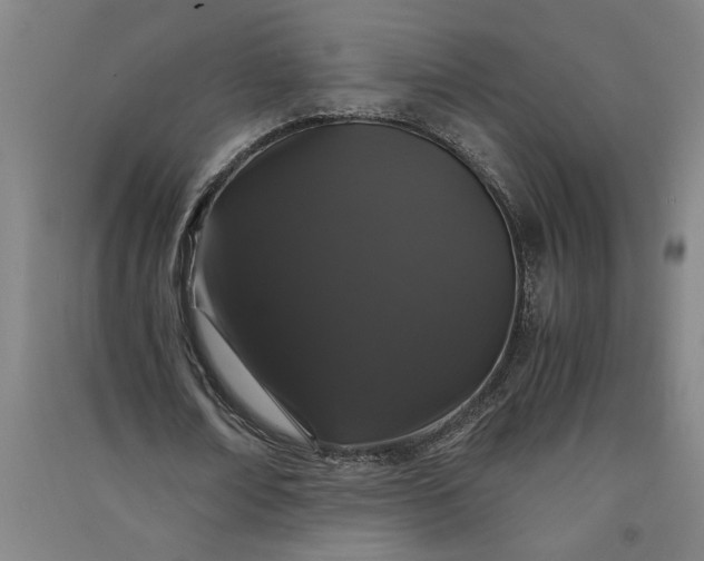 X0000091100674200708201521