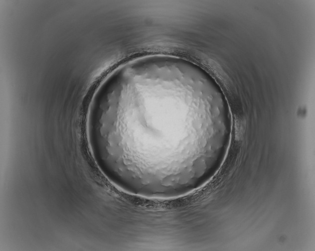 X0000091100675200708201521