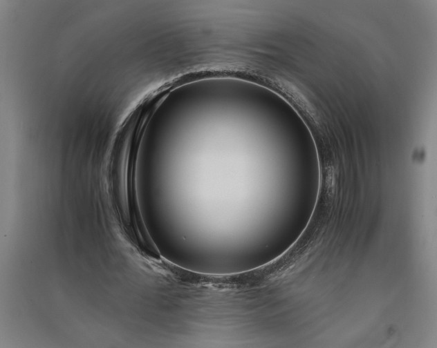 X0000091100676200708201521